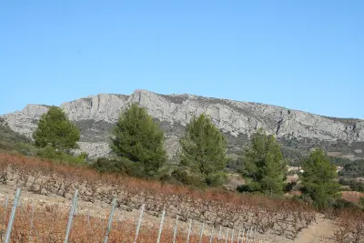 Viñedos en otoño en los alrededores de Tautavel, con el acantilado calcáreo al fondo