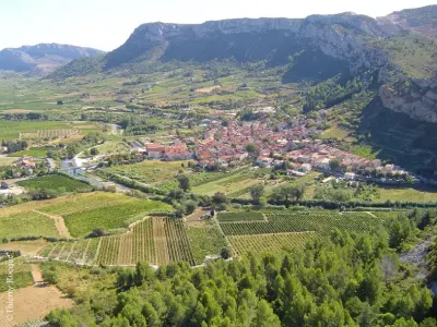 Visita a la bodega y cata en el Domaine Bonzoms