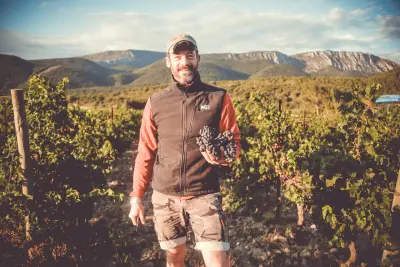 Visita a la bodega y cata en el Domaine Blanc Plume