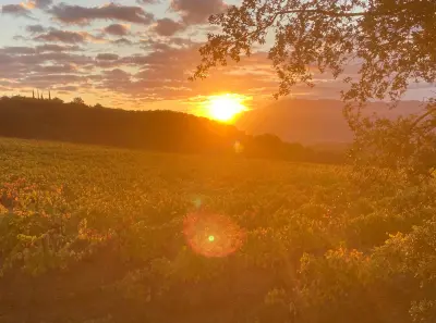 Paseo por las vides y cata en el Domaine Jaça