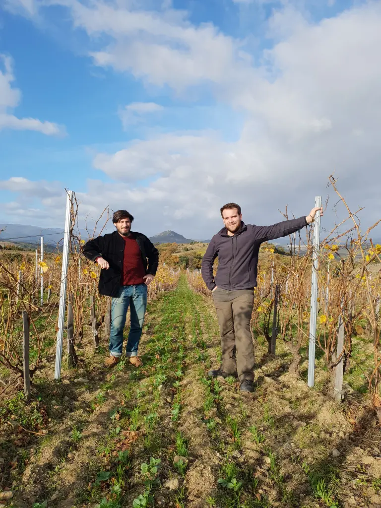 Deux hommes debout dans un vignoble, rangées de vignes et collines en arrière-plan
