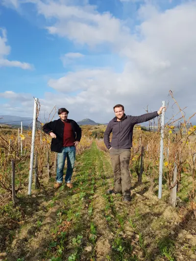 Deux hommes debout dans un vignoble, rangées de vignes et collines en arrière-plan